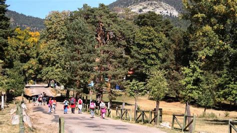 que hacer en cercedilla gratis|Turismo Cercedilla